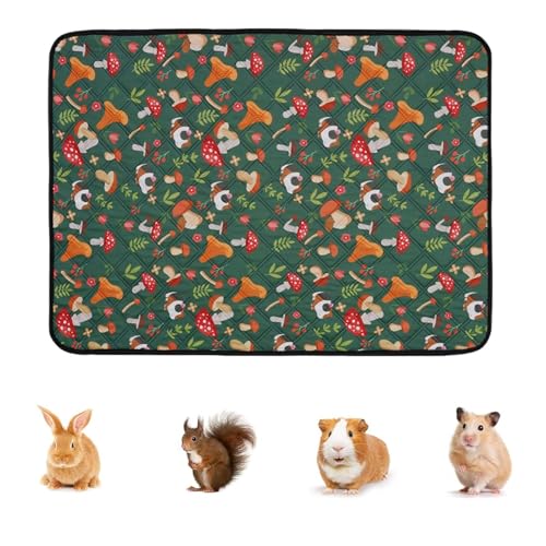Amesor Kaninchen Unterlage, Waschbare Kleintier Matte, Wiederverwendbare Urinauflage Kleintier Einstreu Für Zuhause Garten Reise Innengehege Amesor Kaninchen Unterlage, Waschbare Kleintier Matte, Wiederverwendbare Urinauflage Kleintier Einstreu Für Zuhause Garten Reise Innengehege von Amesor