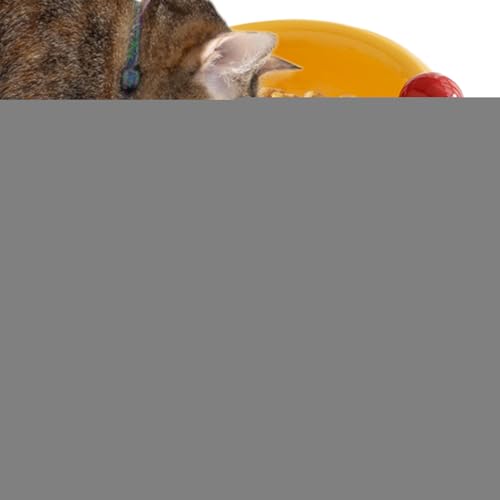Amesor Katzenfutternapf,Keramik Katzennapf für Futter - Niedlicher erhöhter Napfstand Mit Schrägstellung Für Kleine Rassen Wohnungshaltung von Amesor