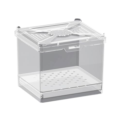 Amesor Spinnenkäfig - Futterbox | Belüfteter Lebensraum Für Wissenschaftsprojekte Bildung Zuhause Wohnzimmer Reisen Camping Amesor Spinnenkäfig - Futterbox | Belüfteter Lebensraum Für Wissenschaftsprojekte Bildung Zuhause Wohnzimmer Reisen Camping von Amesor