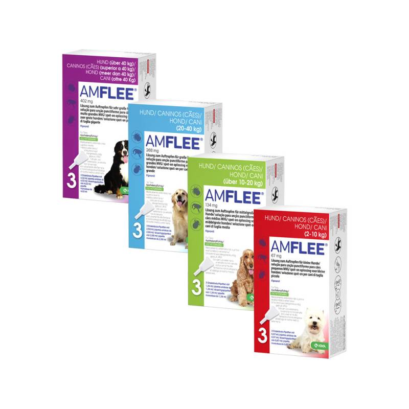 Amflee Spot-on Hund - 2-10 kg - 3 Pipetten von Amflee