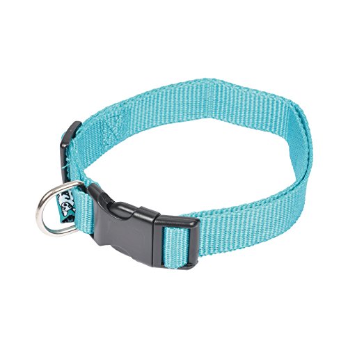 Ami Confort 6ANI196BL Halsband verstellbar für Hunde von 45 – 65 cm x 2,5 cm von Ami Confort