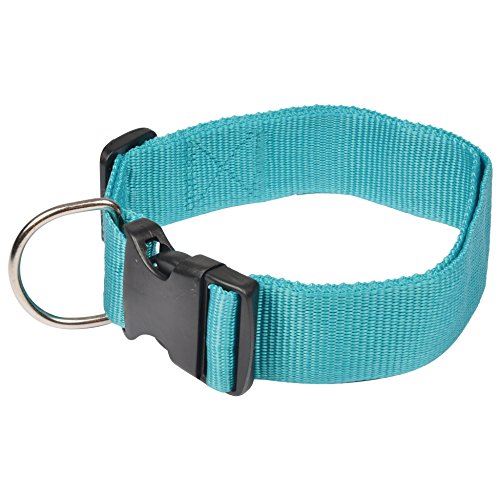 AMI CONFORT 6ANI343BL Halsband für Hunde, verstellbar, 50 – 70 x 4 cm von AMI CONFORT