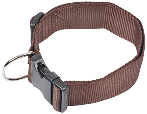 AMI CONFORT 6ANI343CH Halsband für Hunde, verstellbar, 50 – 70 x 4 cm von AMI CONFORT