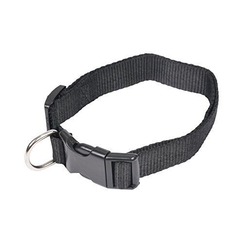 AMI CONFORT Freund Comfort 6 ani196nr Hundehalsband, Verstellbar, 45–65 cm x 2,5 cm von AMI CONFORT