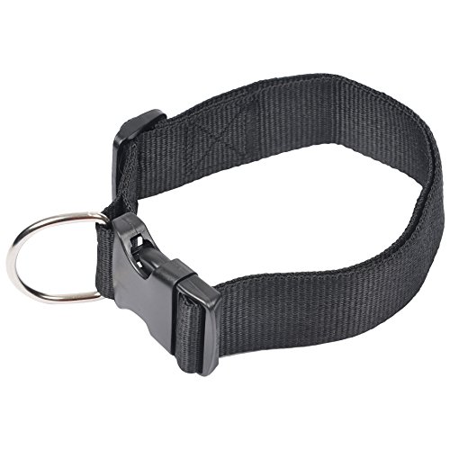 AMI CONFORT Freund Comfort 6 ani343nr Hundehalsband, Verstellbar, 50–70 x 4 cm von AMI CONFORT