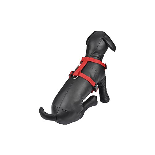 AMI CONFORT Freund Komfort 6 ani197ro Geschirr verstellbar für Hunde 25 – 35 cm x 0,1 cm von AMI CONFORT