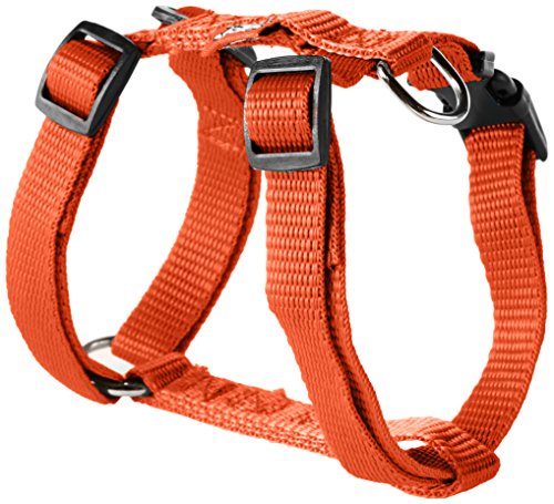 AMI CONFORT Freund Komfort 6 ani198oa Geschirr verstellbar für Hunde 35 – 50 x 1,5 cm von AMI CONFORT