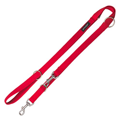 amiplay AMI Play 6 Extra Stark und verstellbare Baumwolle Hund Leine, klein, rot von Ami Play