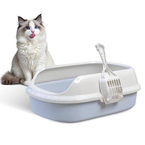 Amicura Katzentoilette M Größe, Geräumige Offene Katzentoilette mit Streuschaufel, Robuste Katzentoilette, Katzenklo Katzentoilette für Einfache Reinigung (Blau) von Amicura