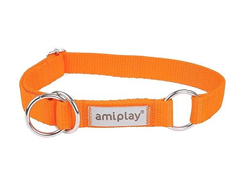 Amiplay Samba - Hunde Schlupfhalsband Halsband für mittelgroße und große Hunde. Hergestellt aus den hochwertigsten Materialien, langlebig, mit stufenloser Verstellmöglichkeit. von Amiplay