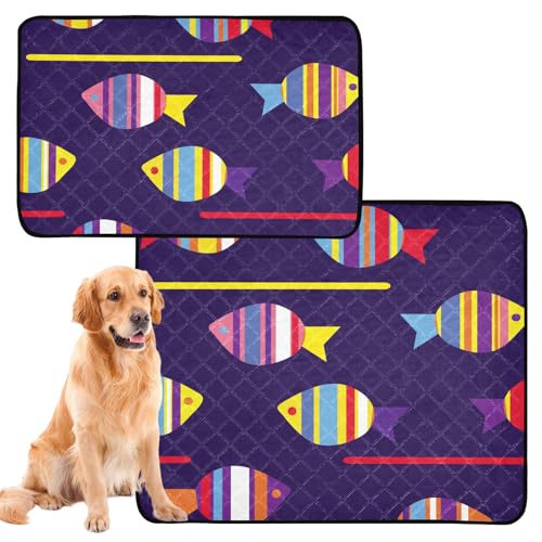 2 x rutschfeste Bodenmatte für den Strand, 61 x 91,4 cm + 91,4 x 106,7 cm, bunte Meeresfische 2 x rutschfeste Bodenmatte für den Strand, 61 x 91,4 cm + 91,4 x 106,7 cm, bunte Meeresfische von Amooorous