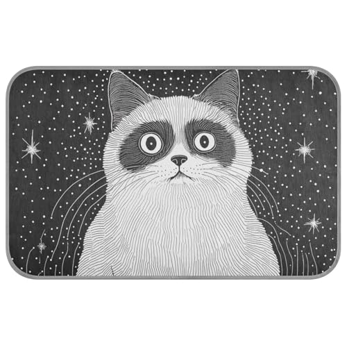 Amooorous Ästhetische Ragdoll-Katzen-Sommer-Haustierdecke, kühlend, selbstkühlend, für große Hunde für Katzen, Outdoor, einzigartiges Klebeband, Frio para Perros M Amooorous Ästhetische Ragdoll-Katzen-Sommer-Haustierdecke, kühlend, selbstkühlend, für große Hunde für Katzen, Outdoor, einzigartiges Klebeband, Frio para Perros M von Amooorous