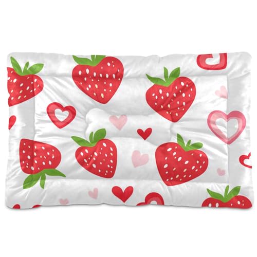 Amooorous Strawberry Hundematratze im Landhausstil, waschbar, weich, rutschfest, für große, mittelgroße und kleine Hunde, 91,4 x 61 cm Amooorous Strawberry Hundematratze im Landhausstil, waschbar, weich, rutschfest, für große, mittelgroße und kleine Hunde, 91,4 x 61 cm von Amooorous