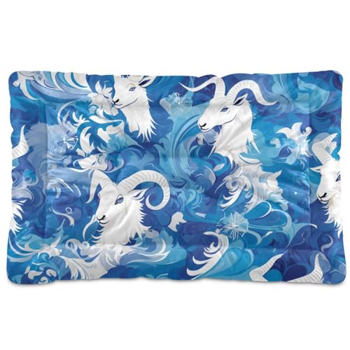 Amooorous Waschbare Haustiermatratze, weich, bequem, rutschfeste Unterseite, für mittelgroße und große Hunde, 91,4 x 61 cm, Blau Amooorous Waschbare Haustiermatratze, weich, bequem, rutschfeste Unterseite, für mittelgroße und große Hunde, 91,4 x 61 cm, Blau von Amooorous