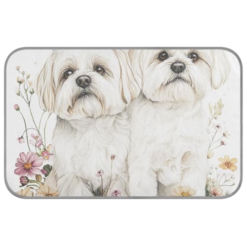 Cartoon-Hundebett, niedlich, Malteser, kühlend, für den Sommer, selbstkühlend, waschbar, für Kaninchen, Outdoor-Katzen, sicheres Klebeband für Perros, M Cartoon-Hundebett, niedlich, Malteser, kühlend, für den Sommer, selbstkühlend, waschbar, für Kaninchen, Outdoor-Katzen, sicheres Klebeband für Perros, M von Amooorous