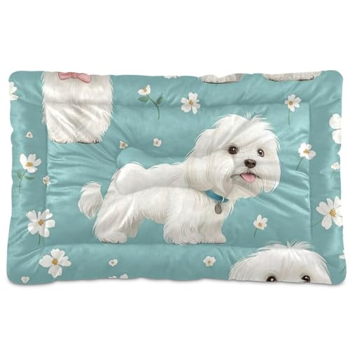 Haustier-Schlafmatte mit Cartoon-Motiv, waschbar, rutschfest, weich, bequem, für mittelgroße und große Hunde, 91,4 x 61 cm, Weiß Haustier-Schlafmatte mit Cartoon-Motiv, waschbar, rutschfest, weich, bequem, für mittelgroße und große Hunde, 91,4 x 61 cm, Weiß von Amooorous