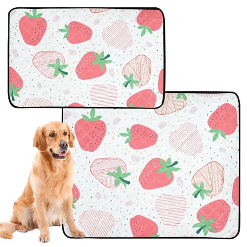 Hundedecke für Hunde, waschbar, rutschfest, für Auto, 61 x 91,4 cm + 91,4 x 106,7 cm, rotes Design, Erdbeere, 2 Stück Hundedecke für Hunde, waschbar, rutschfest, für Auto, 61 x 91,4 cm + 91,4 x 106,7 cm, rotes Design, Erdbeere, 2 Stück von Amooorous