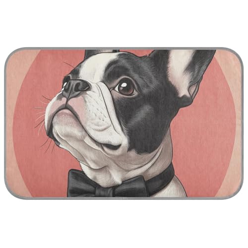 Niedliche französische Bulldogge für den Sommer, selbstkühlende Kühlmatte für Kaninchen, Katzen, nicht-elektrisches Klebeband, zum Auffrischen von Para Mascotas M von Amooorous