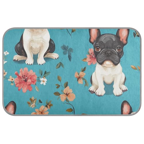 Niedlicher süßer Hund, weiß, Sommer-Kühldecke für Katzen, selbstkühlende Decke für Hunde für Kaninchen, Katzen, Indoor-Katze, Essentials, Tapete Refrescante para mascotas M Niedlicher süßer Hund, weiß, Sommer-Kühldecke für Katzen, selbstkühlende Decke für Hunde für Kaninchen, Katzen, Indoor-Katze, Essentials, Tapete Refrescante para mascotas M von Amooorous