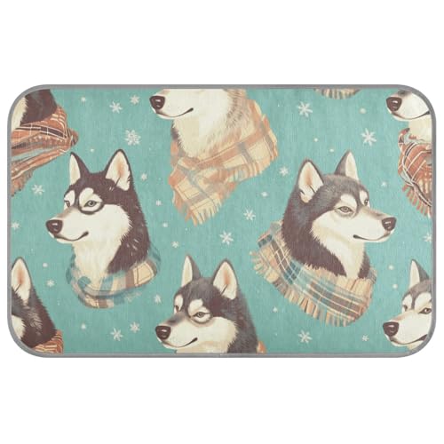 Warmer Winterschal für Hunde, Gel-Kühlkissen, selbstkühlend, waschbar, für Hamster, Outdoor, Haustier, einzigartig, Manta Fria para Perros M Warmer Winterschal für Hunde, Gel-Kühlkissen, selbstkühlend, waschbar, für Hamster, Outdoor, Haustier, einzigartig, Manta Fria para Perros M von Amooorous