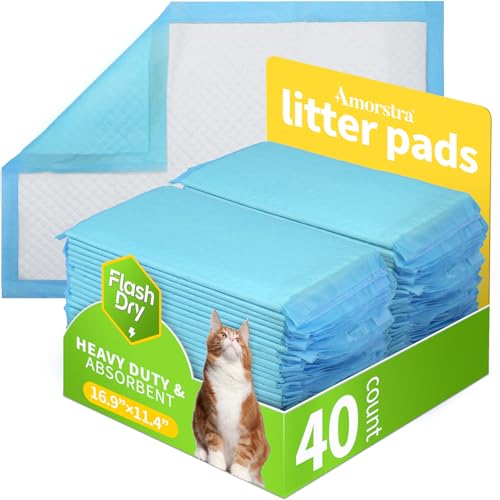 Urinierpads für Katzen, 40 Stück Urinierpads für Katzen, 40 Stück von Amorstra