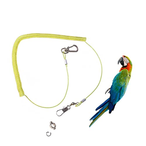 Amosfun 1 5 Vogelflugtraining Vogelflug-Trainingsseil Anti-Biss-Seil Vogel Trainingsseil für Papageien Gürtel Haustierzubehör Haustierleine Papageienleine Langen Hosenträger von Amosfun