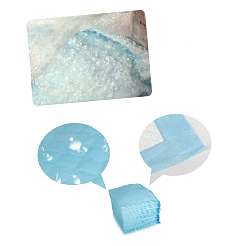 Amosfun 1 Packung Pet Pinkelmatte Kleine Tierpee-Pads Wurfunterlage Für Hunde Hundepipipads Extra Trainingspads Für Hunde PIPI-trainingspad Hunde-Pads Töpfchenauflage Wasser Aufnehmen Amosfun 1 Packung Pet Pinkelmatte Kleine Tierpee-Pads Wurfunterlage Für Hunde Hundepipipads Extra Trainingspads Für Hunde PIPI-trainingspad Hunde-Pads Töpfchenauflage Wasser Aufnehmen von Amosfun