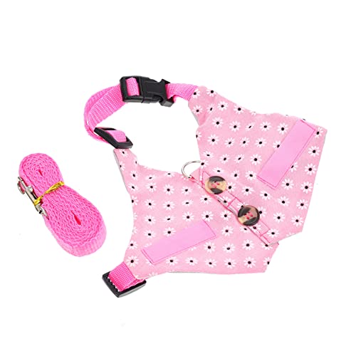 Amosfun 1 Satz Hasenkleidung Katze Geschirr Kleid Kaninchenkostü klein Leine Welpengeschirr Hasengeschirrseil formelle Kleidung für Haustiere Blumen Gürtel Haustieranzug Weste Reisen Gurt Amosfun 1 Satz Hasenkleidung Katze Geschirr Kleid Kaninchenkostü klein Leine Welpengeschirr Hasengeschirrseil formelle Kleidung für Haustiere Blumen Gürtel Haustieranzug Weste Reisen Gurt von Amosfun