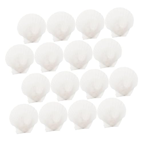 Amosfun 16stücke Natürliche Jakobsmuscheln Für Basteln DIY Dekoration Tischdekoration Heimdekoration Aquariumschmuck Spielzeug Bastelmaterial Amosfun 16stücke Natürliche Jakobsmuscheln Für Basteln DIY Dekoration Tischdekoration Heimdekoration Aquariumschmuck Spielzeug Bastelmaterial von Amosfun