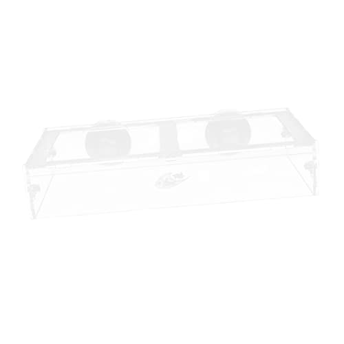 Amosfun 1Stk Futterring für Aquarien Zubehörfach Fischfütterungshalter aus Automatic Fish Feeder Futterautomat für Fische Werkzeug automatische Fischfütterung Fischfutter Schildkröte Amosfun 1Stk Futterring für Aquarien Zubehörfach Fischfütterungshalter aus Automatic Fish Feeder Futterautomat für Fische Werkzeug automatische Fischfütterung Fischfutter Schildkröte von Amosfun