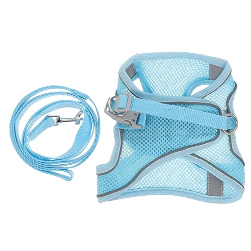 Amosfun 2 Sets Hund Weste Haustier Und Leine Set Outdoor Hund Walking Einfach Zu Bedienen Leine Entzückende von Amosfun