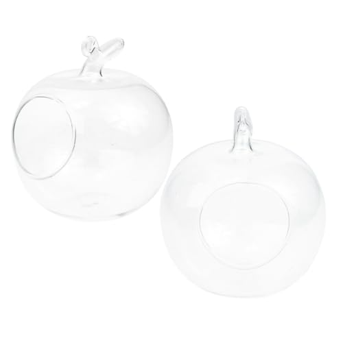 Amosfun 2 Stücke Glas Ökologische Flaschen Transparent Desktop Anlage Container Anlage Terrarium Terrarium Amosfun 2 Stücke Glas Ökologische Flaschen Transparent Desktop Anlage Container Anlage Terrarium Terrarium von Amosfun