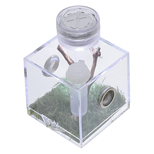Amosfun 4er-Box Springspinnen-zuchtbox Haustiergehege Haustierzubehör Mini-Container Lebensraumkäfig Für Schneckenspinnen Reptilien Terrarien Mini-Lebewesen Spinnenlebensraum Insektenhaus von Amosfun