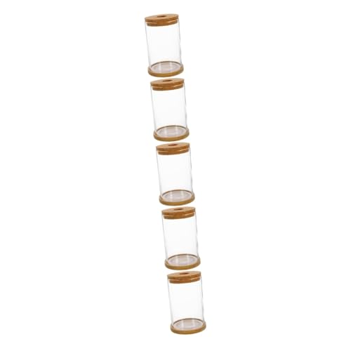 Amosfun 5 Sätze Hydroponische Vase Tabletop-ausbreitungsstation Hydroponische Testflasche Bepflanzung Einer Wasserstation Mini Reagenzglas Vermehrungstopf Blumenkübel Blumentöpfe Bambus von Amosfun