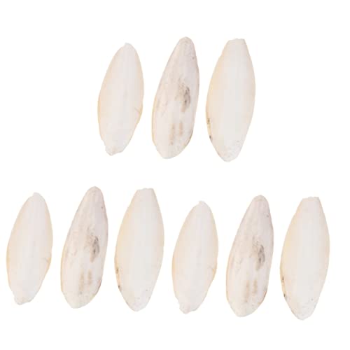 Amosfun 9 STK Vogel Sepia Kanarienvogel Spielzeug Tierhalter Knochen Spielzeuge Haustierbiss Sepia Cuttlebone molares Kalzium Vögel Lieferungen Zubehör Papageienkäfig Kleiner Papagei Amosfun 9 STK Vogel Sepia Kanarienvogel Spielzeug Tierhalter Knochen Spielzeuge Haustierbiss Sepia Cuttlebone molares Kalzium Vögel Lieferungen Zubehör Papageienkäfig Kleiner Papagei von Amosfun