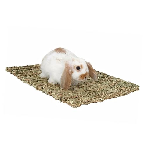 Amosfun Bettunterlagen Meerschweinchen gewebte Matte entspannungsmatte Relaxing mat Einstreu für Hamster Hasenbett -Pad kauen Bettwäsche Hamster Pad von Amosfun