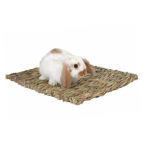 Amosfun Hasenmatte Kauspielzeug Hasenzubehör Hasenbett Käfigmatte Für Kleine Haustiere Kaninchen-bodenbeläge Häschen-Gras-Pads Hamstermatte Kaninchenbedarf Seetang Hölzern Meerschweinchen Amosfun Hasenmatte Kauspielzeug Hasenzubehör Hasenbett Käfigmatte Für Kleine Haustiere Kaninchen-bodenbeläge Häschen-Gras-Pads Hamstermatte Kaninchenbedarf Seetang Hölzern Meerschweinchen von Amosfun