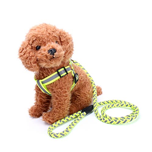 Amosfun Reflektierende Leine Geschirr Für Kleine Hunde Medium Size Dog Harness Haustierleine Welpenleine Arnes para Perros Medianos Welpen-kit Leine Für Welpen Kettenblatt Der Hund von Amosfun