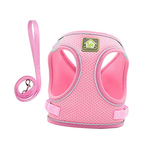 Amosfun Haustier Mit Weste Hundeset Reflektierend Gepolstert Atmungsaktiv Für Welpen & Hunde Pflegeleicht Größe Xs von Amosfun