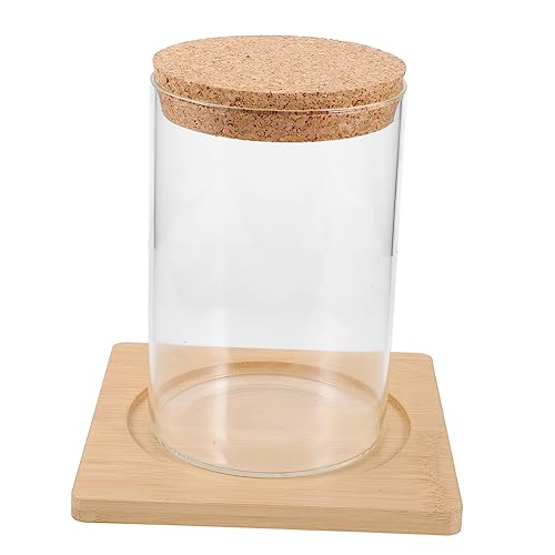 Amosfun Terrarium Pflanzgefäß Großer Zylindrischer Glasbehälter mit Holzdeckel und Bambusunterlage Landschaftsbehälter für Hydroponische Pflanzen Dekoratives Pflanzglas für Büro und von Amosfun