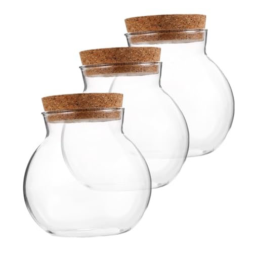 Amosfun Versiegeltes Glasflaschen-Set 10 X 11 cm Heimdekoration – Landschaftsflasche Mit Kork Moos Basteln Leere Flasche Für Die Flaschenpräsentation Zu Hause von Amosfun