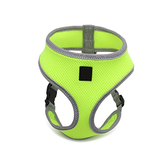 Amosfun Pet Safety Für Hunde Verstellbares Brustgeschirr Fluoreszentgrün Für Sicheres Spazierengehen Mit Metallring Für Leinenbefestigung Bequem Gepolstert Für Optimalen Amosfun Pet Safety Für Hunde Verstellbares Brustgeschirr Fluoreszentgrün Für Sicheres Spazierengehen Mit Metallring Für Leinenbefestigung Bequem Gepolstert Für Optimalen von Amosfun