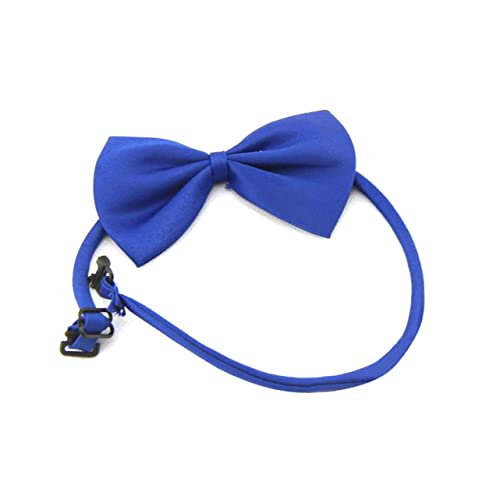 Amosfun verstellbares hundehalsband Abreißhalsband für Haustiere Welpenhalsband hundebedarf Kätzchenhalsband Hundehalsbänder für Welpen einstellbar Krawatte Halskette erhalten Kind Amosfun verstellbares hundehalsband Abreißhalsband für Haustiere Welpenhalsband hundebedarf Kätzchenhalsband Hundehalsbänder für Welpen einstellbar Krawatte Halskette erhalten Kind von Amosfun