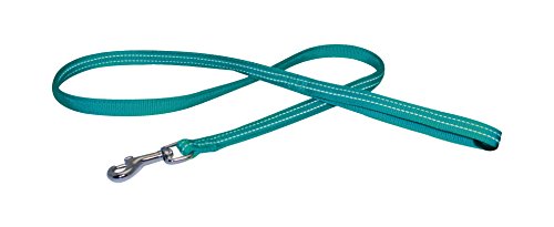 Amtra Croci C5079829 Nylon Leine Soft Reflektierend, 10 x 1200 mm, türkis Amtra Croci C5079829 Nylon Leine Soft Reflektierend, 10 x 1200 mm, türkis von Amtra Croci