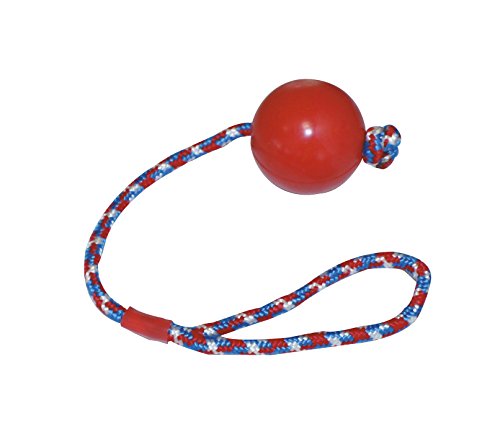 Amtra Croci C6AT0010 Ball mit Seil von Croci