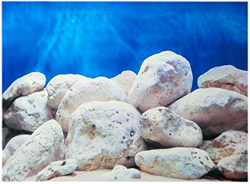 Amtra Croci Rückwandfolie 80 cm x 60 cm Aquarien Rückwand Hintergrund Dekoration Poster Amtra Croci Rückwandfolie 80 cm x 60 cm Aquarien Rückwand Hintergrund Dekoration Poster von Amtra Croci