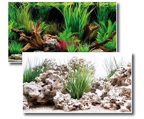 Amtra Deko Fotorückwand Wonder beidseitig Bedruckt 120x60cm 2in1 Rückwandposter Rückwand Folie Aquarien Poster Foto Folien von Amtra Deko