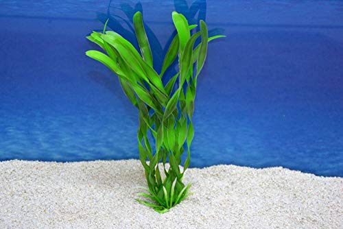 Amtra Valisneria M 20cm künstliche Pflanze Dekoration Aquarium von Amtra Deko