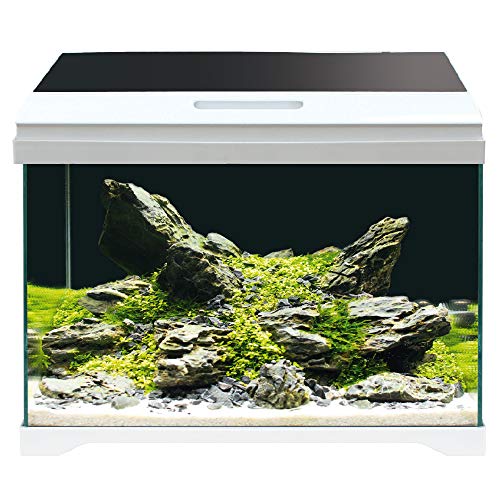 Amtra MODERN Tank 40 LED - Aquarium komplett mit LED-Beleuchtung und Innenfilter/cm 42,5x23,5x36,5/28 Liter von Amtra