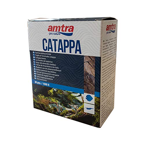 Amtra A3050050 Catappa Leaves, Größe S, 30 Stück Amtra A3050050 Catappa Leaves, Größe S, 30 Stück von Amtra